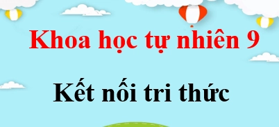 Năng Lượng Sóng Biển Khám Phá Tiềm Năng Tái Tạo Của Biển Cả