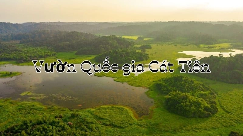 Vườn Quốc gia Cát Tiên - Trải nghiệm cảnh quan rừng già
