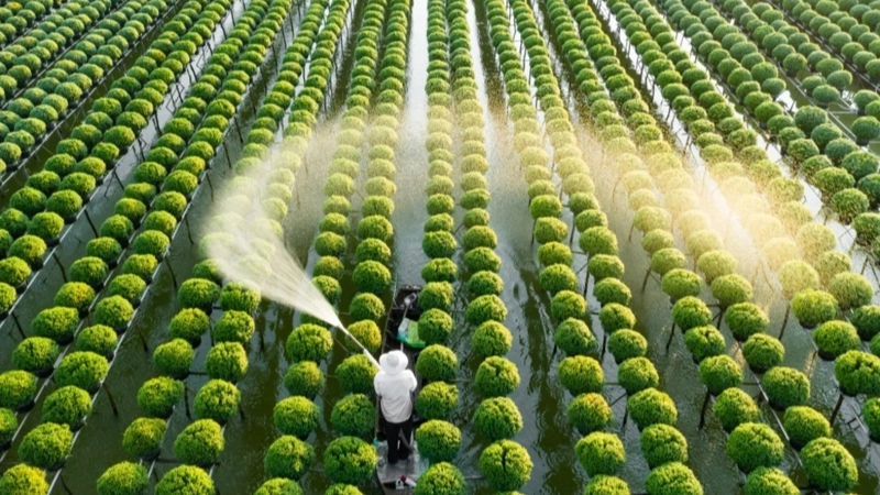 AgriTech trong nông nghiệp mở ra cơ hội thay đổi toàn diện