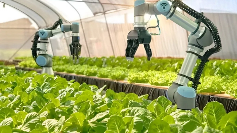 AI thay đổi nông nghiệp hiện đại ra sao