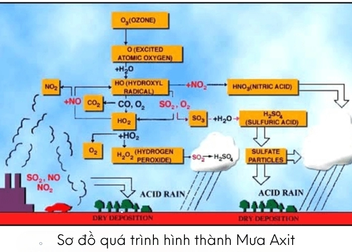 Khám phá Hiện tượng và cơ chế hình thành của mưa axit