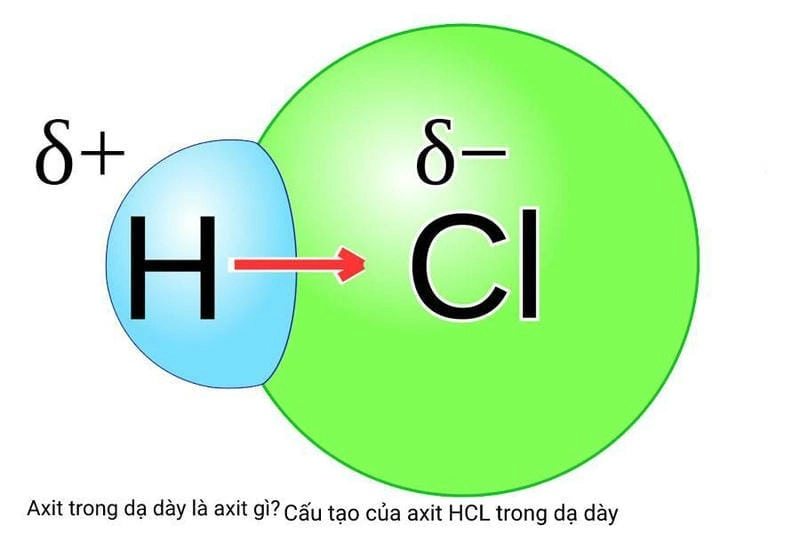 Hiểu rõ axit clohydric HCl là gì
