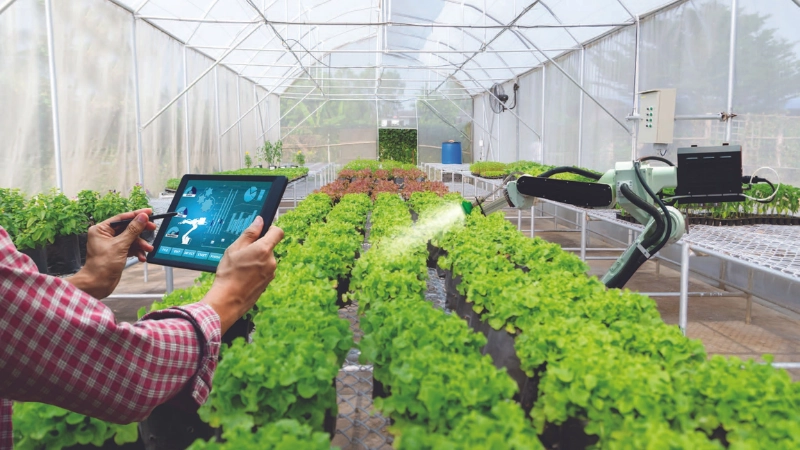 Công nghệ AR nâng tầm quy trình sản xuất nông nghiệp