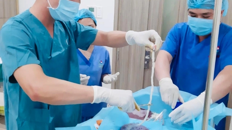 Tiềm năng và thách thức của công nghệ cấy ghép trong tương lai