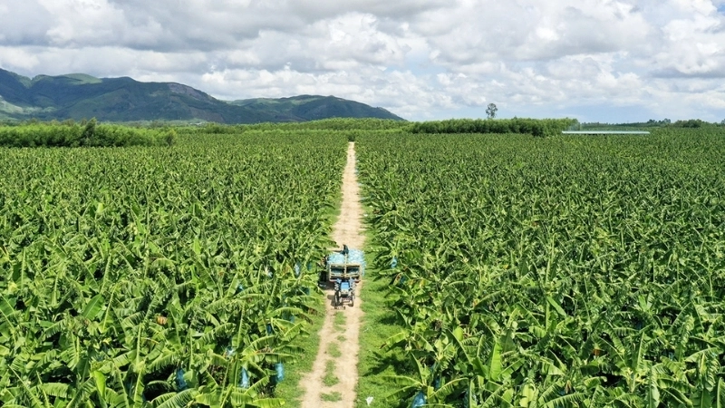 Công nghệ sản xuất theo chuỗi là gì và vai trò trong công nghiệp hiện đại