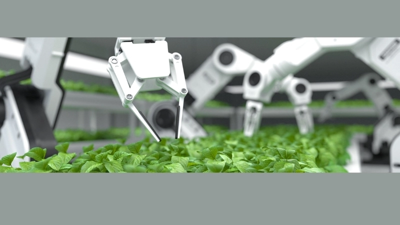 Công nghệ sản xuất xanh là gì và vì sao ngày càng quan trọng