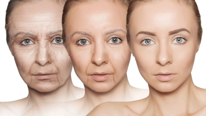 Công nghệ sinh học và đổi mới y tế