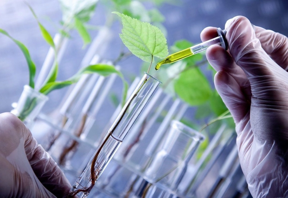 Bật mí tiềm năng của nông nghiệp sinh học hiện đại đáng mong đợi