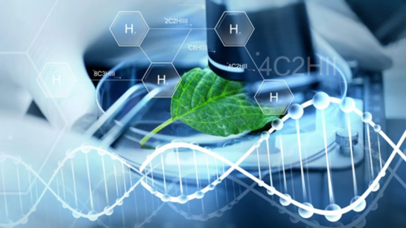 Công nghệ sinh học và vai trò nền tảng