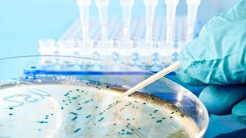 Định nghĩa và vai trò quan trọng trong chăm sóc sức khỏe