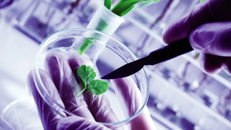 Công nghệ sinh thái là gì và vì sao ngày càng quan trọng