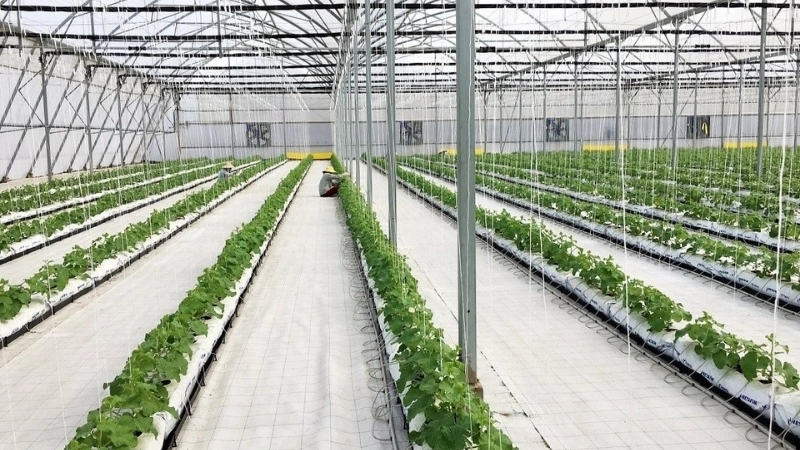 Ứng dụng của công nghệ sinh thái trong đời sống và sản xuất