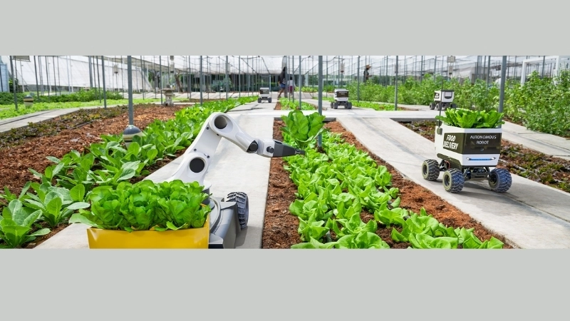 Những ứng dụng nổi bật của công nghệ số trong nông nghiệp