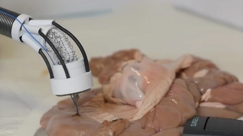 Công nghệ tái tạo mô là gì và hoạt động ra sao