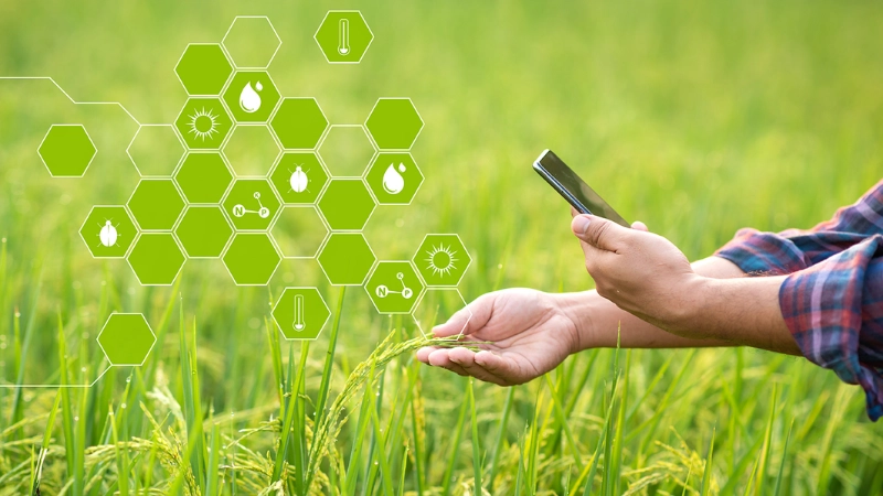 Công nghệ VR nâng tầm trang trại thông minh