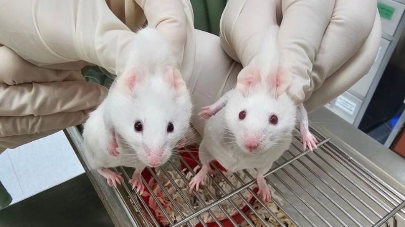 Nghiên cứu gen mở khóa bí ẩn sinh học