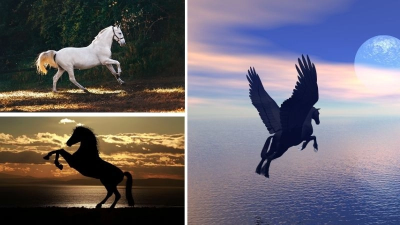 Động vật thần thoại sức mạnh siêu nhiên
