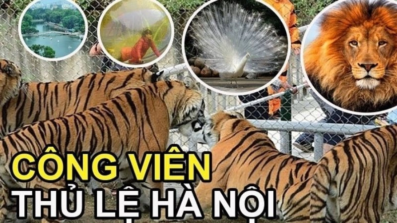 Công viên Thủ Lệ hay còn gọi là Vườn thú Hà Nội