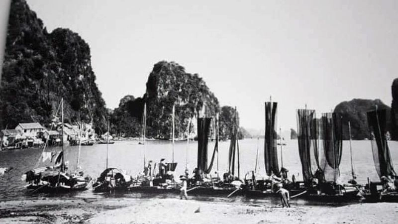 Lịch sử hình thành và phát triển vịnh Hạ Long 