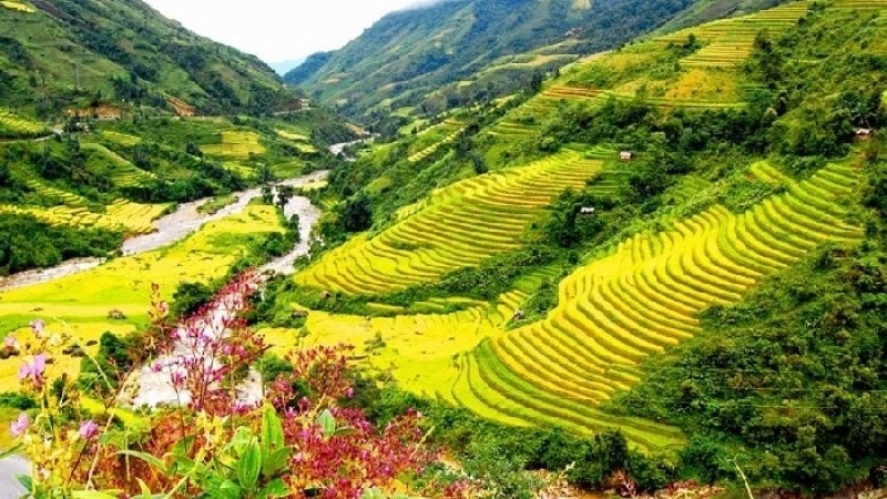 Thung lũng Mường Hoa đẹp như tranh vẽ mùa sương