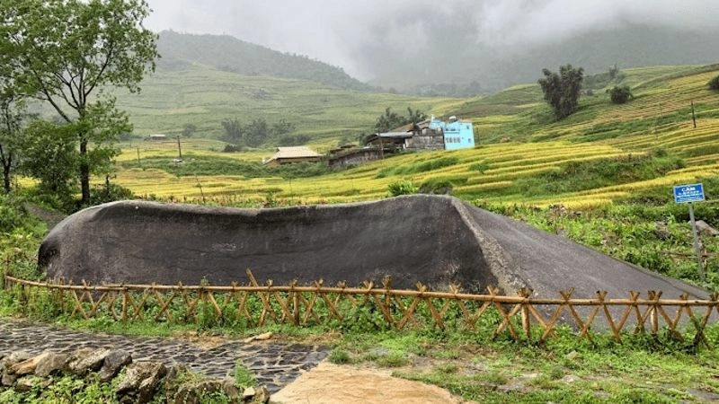 Sắc xanh bạt ngàn nơi thung lũng Mường Hoa