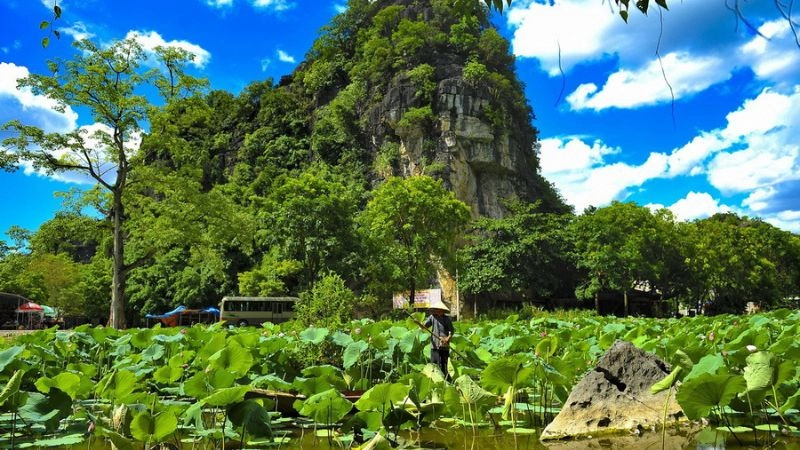 Tam Cốc Bích Động đưa lòng người về với thiên nhiên