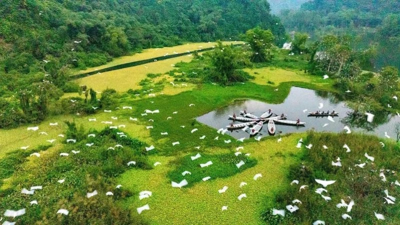 Tràng An vẽ nên bức tranh sơn thủy hữu tình