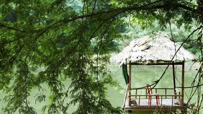 Lạc bước giữa rừng già Cúc Phương kỳ thú