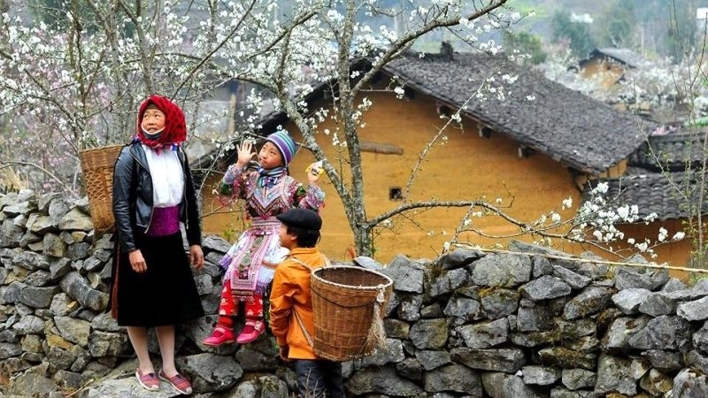 Cao nguyên đá Đồng Văn nơi đá cũng biết kể