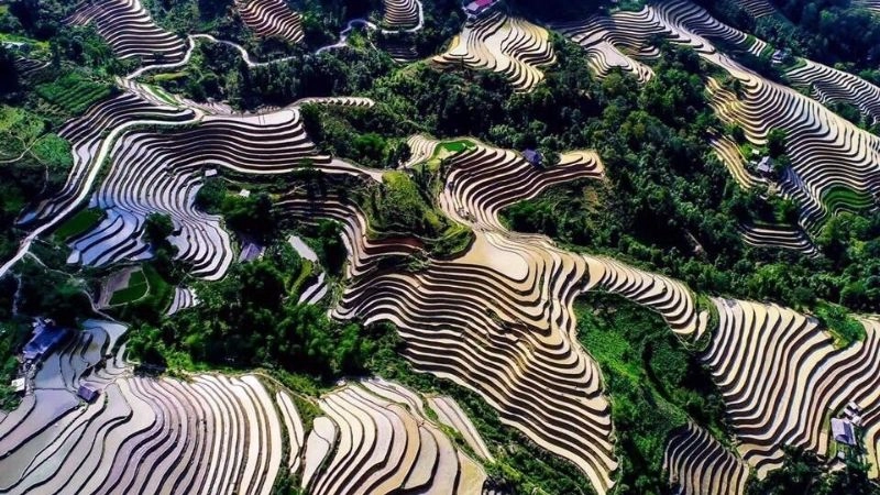 cảnh đẹp Hoàng Su Phì tuyệt diệu khiến bao du khách phải trầm trồ