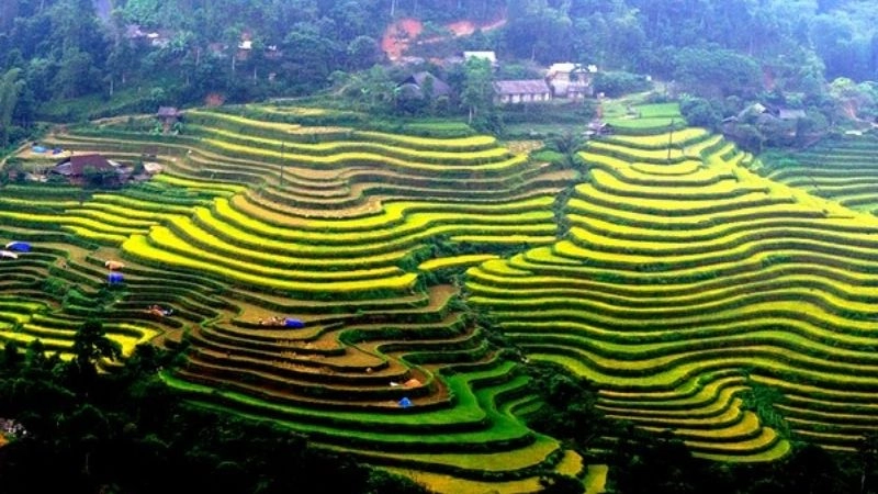 Hoàng Su Phì đẹp như tranh vẽ giữa đại ngàn