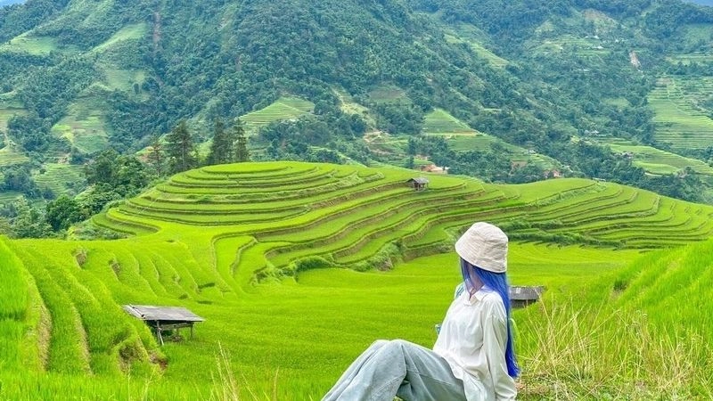 Hoàng Su Phì rực rỡ trong nắng chiều Tây Bắc