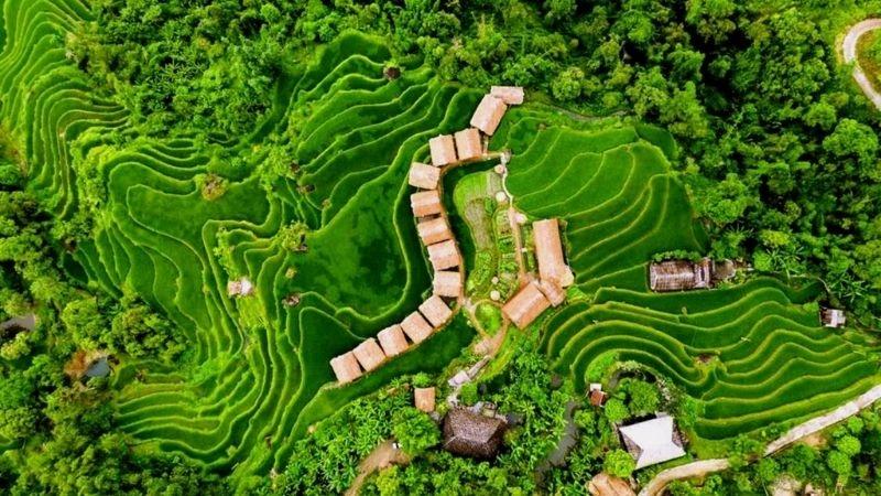 Ruộng lúa Hoàng Su Phì níu chân kẻ lãng du