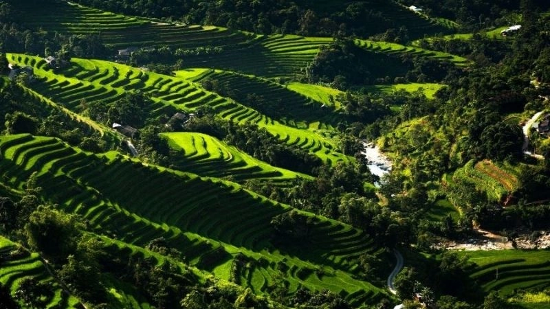 Hoàng Su Phì thơ mộng giữa mùa lúa