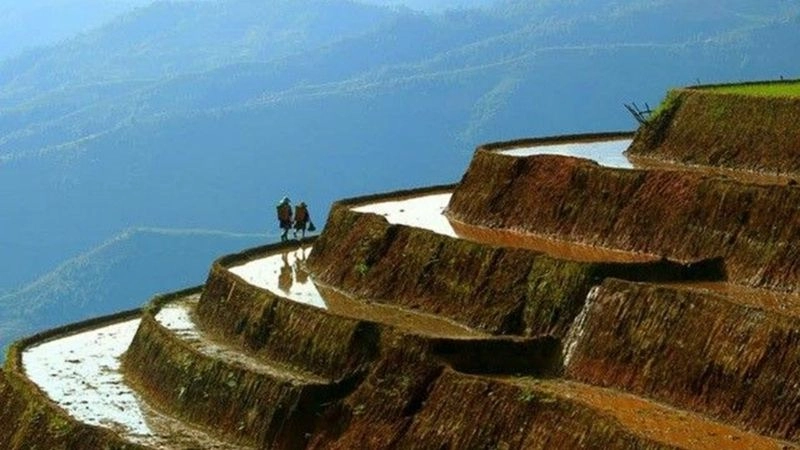 Lịch sử hình thành ruộng bậc thang Mù Cang Chải 