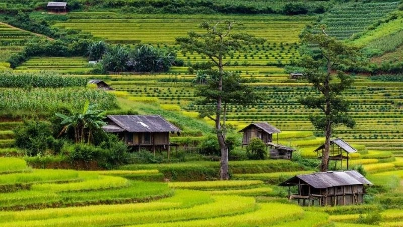 Mù Cang Chải níu hồn người bằng vẻ đẹp thơ mộng