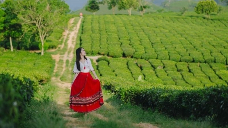 Lạc lối giữa đồi chè xanh ngát Mộc Châu