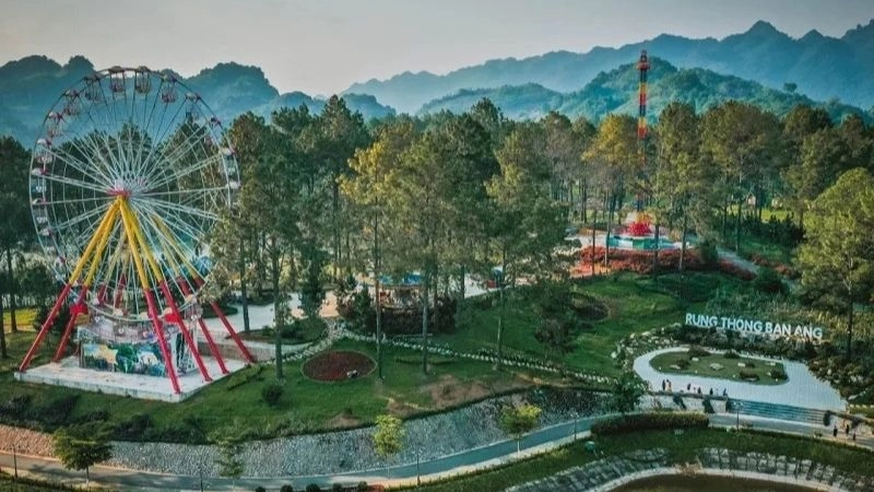 Thời điểm đẹp nhất để ghé thăm rừng thông bản Áng là vào mùa thu 