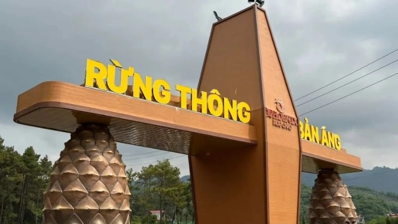 Cách di chuyển đến rừng thông bản Áng thuận tiện