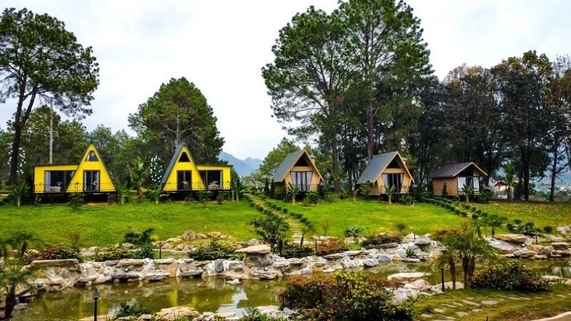 Bình yên dưới tán thông Bản Áng lộng gió