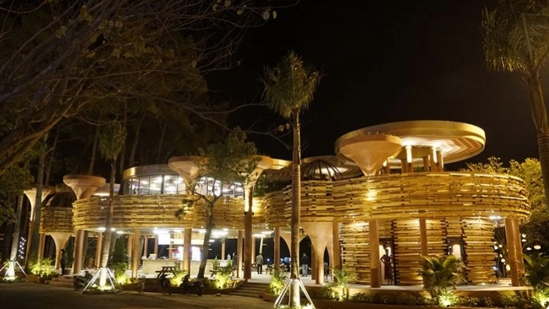 Lạc bước vào rừng thông Bản Áng mộng mơ