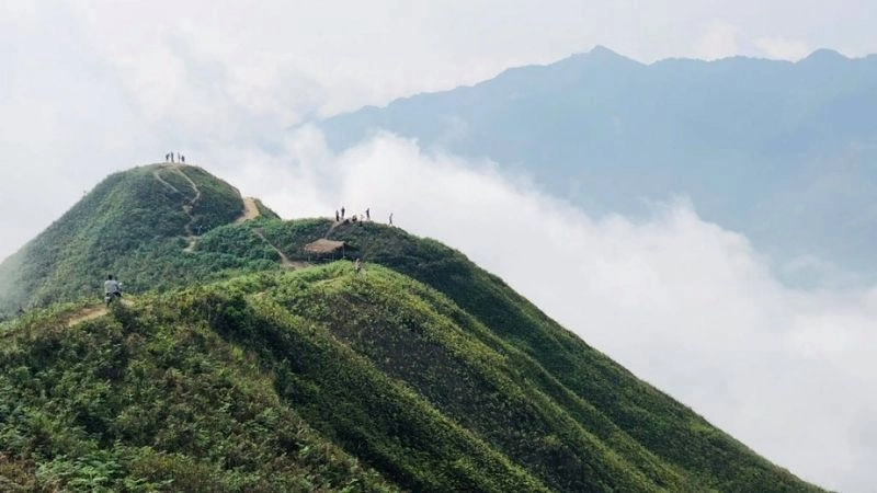 Đường sống lưng khủng long Tà Xùa hiểm trở mà thơ