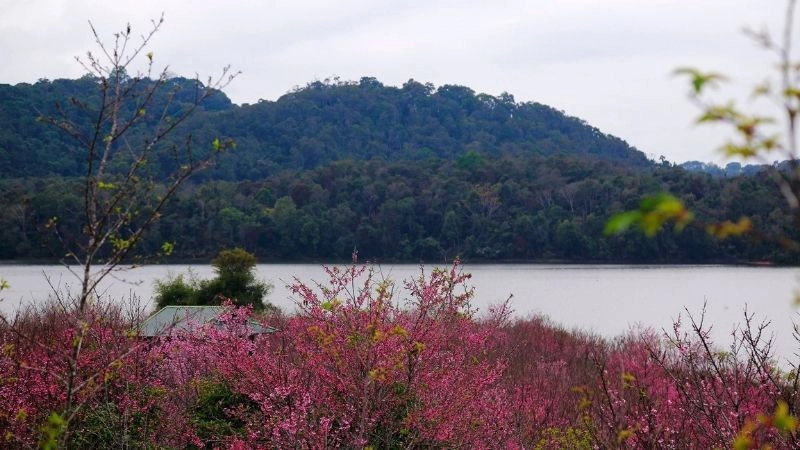 Hồ Pá Khoang đẹp như tranh giữa lòng thiên nhiên