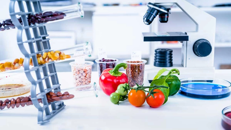 FoodTech trong thực phẩm đổi mới cách thức sản xuất và tiêu thụ