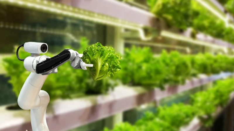 IoT mở ra kỷ nguyên nông nghiệp thông minh