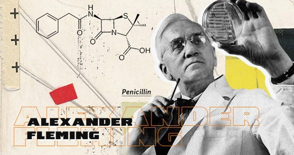 Khám phá Alexander Fleming và phát hiện Penicillin kỳ diệu