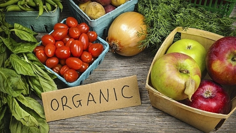 Mua thực phẩm hữu cơ tại cửa hàng uy tín chất lượng