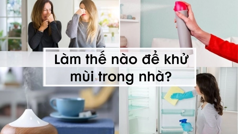Làm thế nào để khử mùi trong nhà?