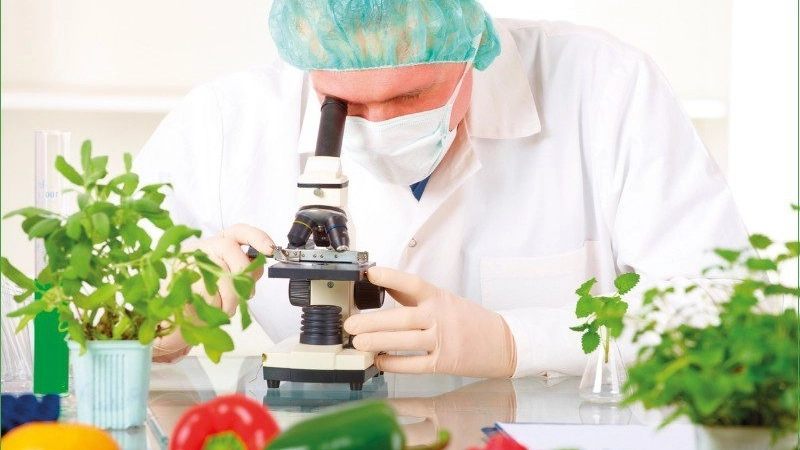 Kiểm tra thông qua chứng nhận chất lượng và tem niêm phong