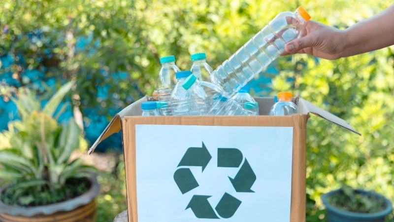 Những lưu ý quan trọng để tái chế rác tại nhà 